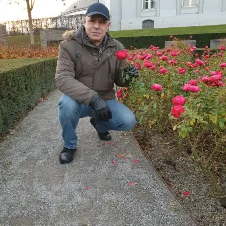 Ovnan, 62