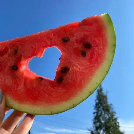 MaxRohVeg, 45