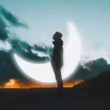 写真 デニス 1 