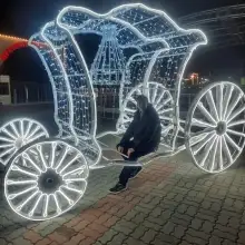 写真 アレックス 1 