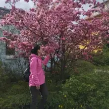 写真 イリーナ 2 